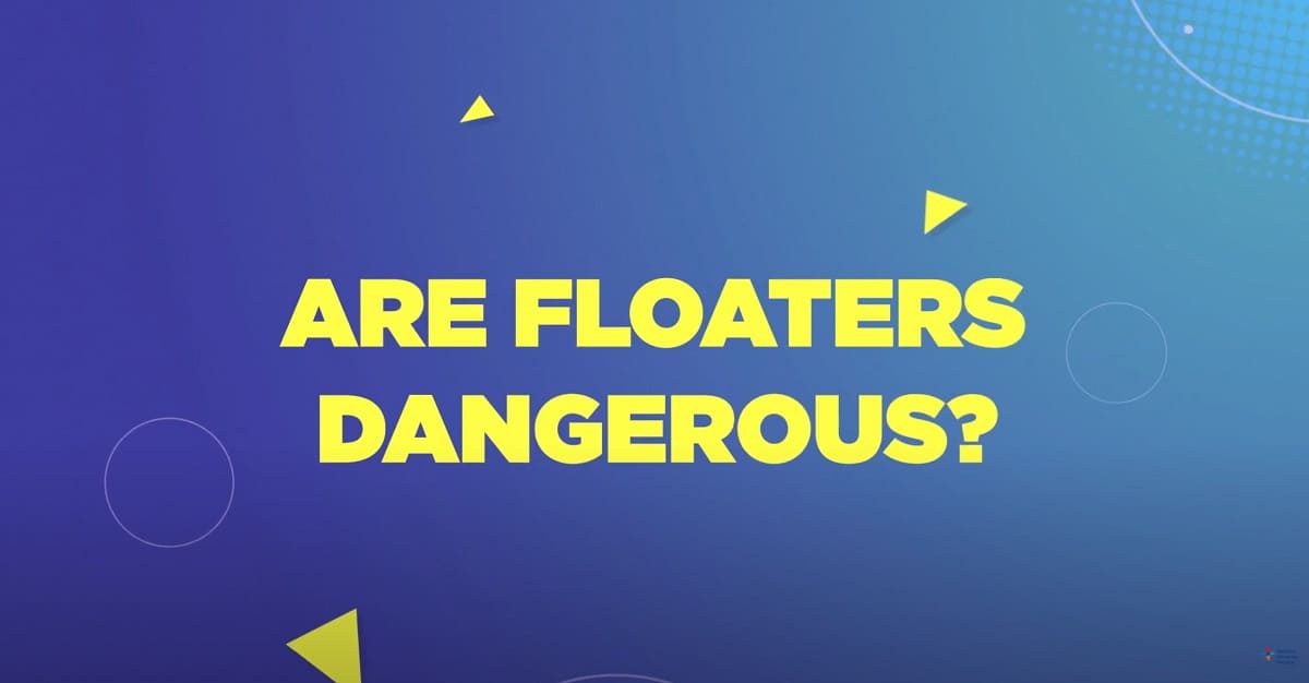 Healthy Eyes, Healthy Life: Are Floaters Dangerous? pdf
