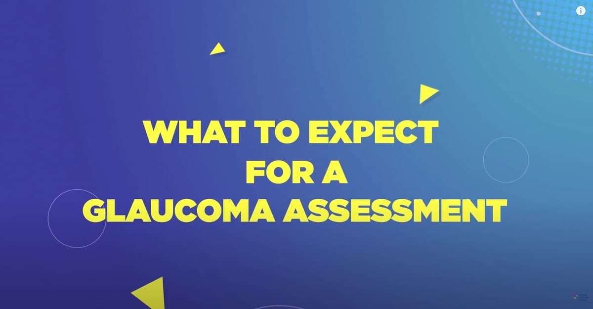 Healthy Eyes, Healthy Life: What to Expect for a Glaucoma Assessment pdf